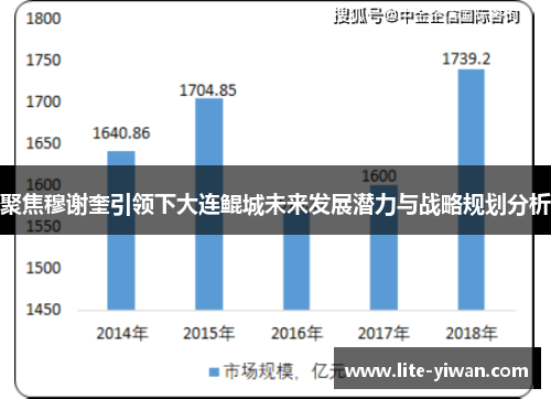 聚焦穆谢奎引领下大连鲲城未来发展潜力与战略规划分析