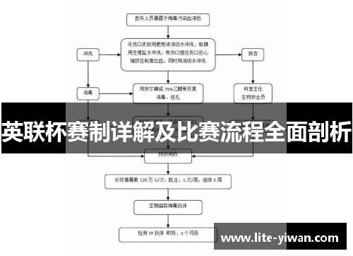 英联杯赛制详解及比赛流程全面剖析