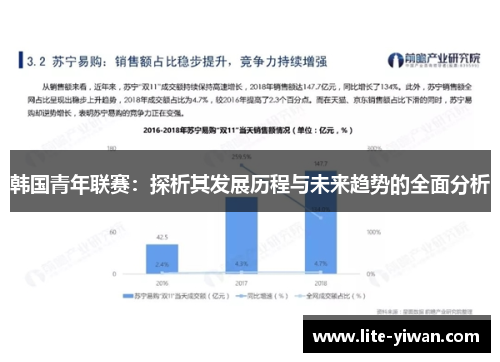 韩国青年联赛：探析其发展历程与未来趋势的全面分析